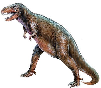 saur meaning.